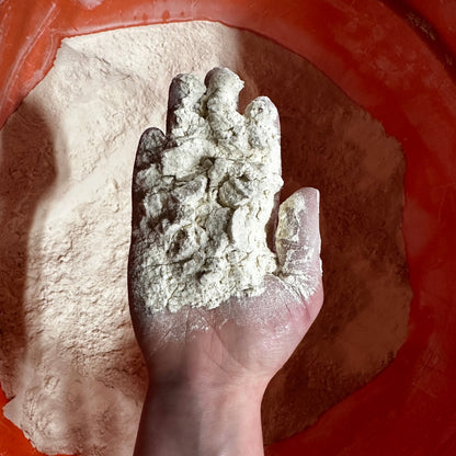 Strong Bread Flour - 2.5lbs