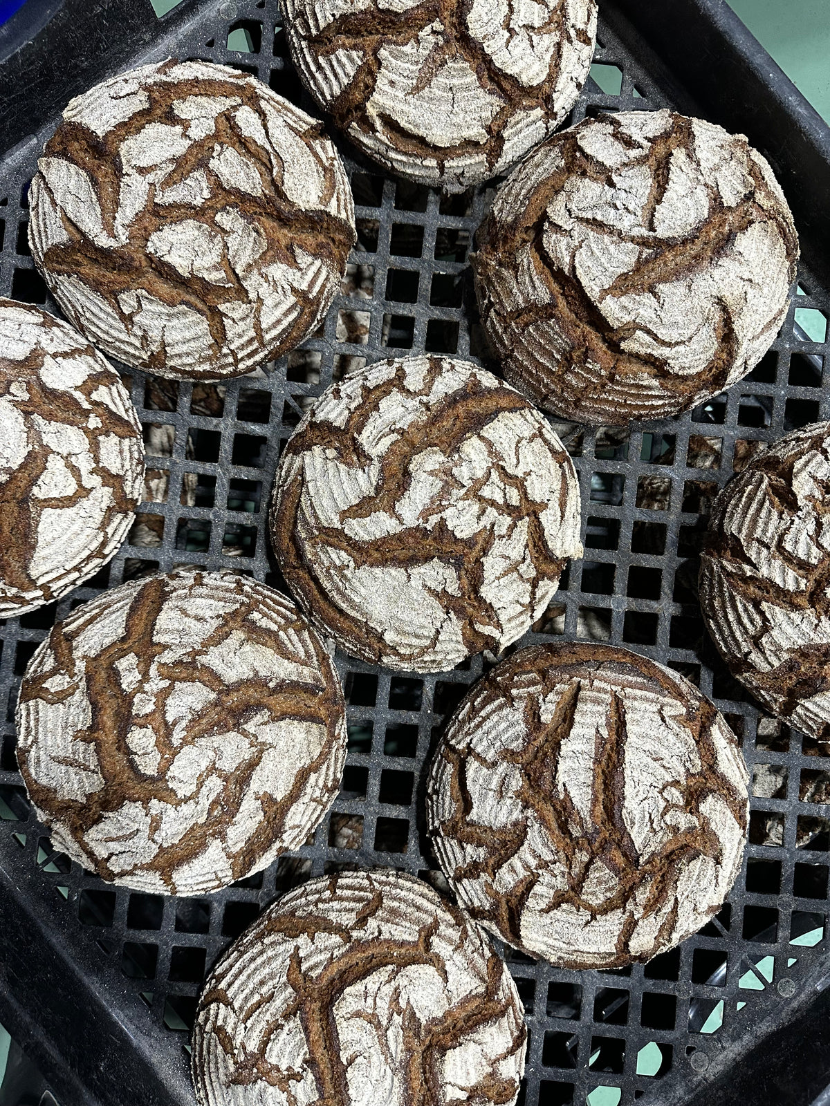 A Better Use of $60 Rye Workshop!