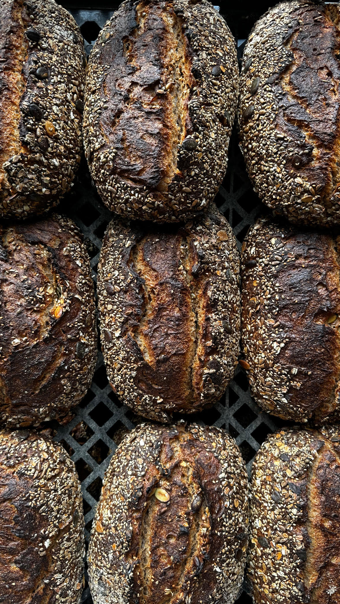 Whole Grain Sourdough, Distilled