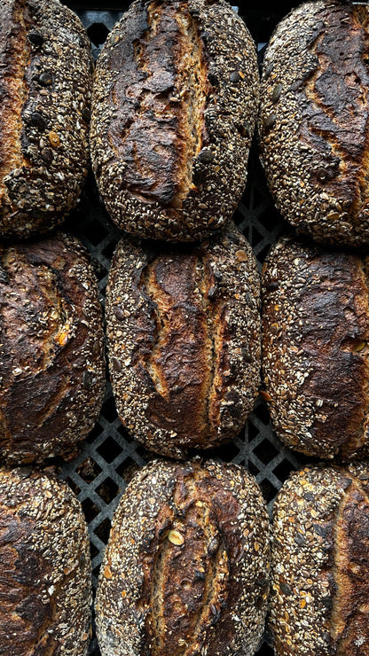 Whole Grain Sourdough, Distilled