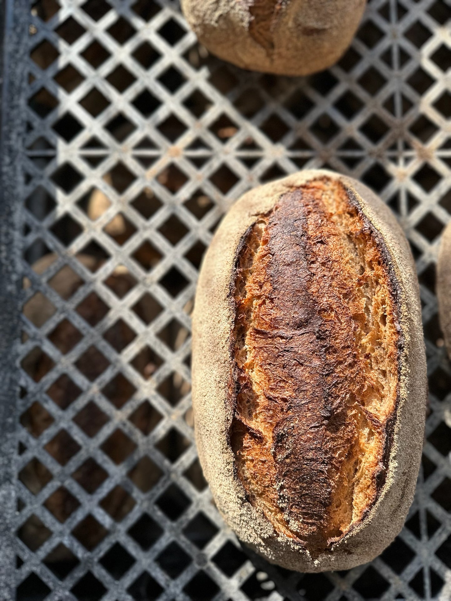 Whole Grain Sourdough, Distilled