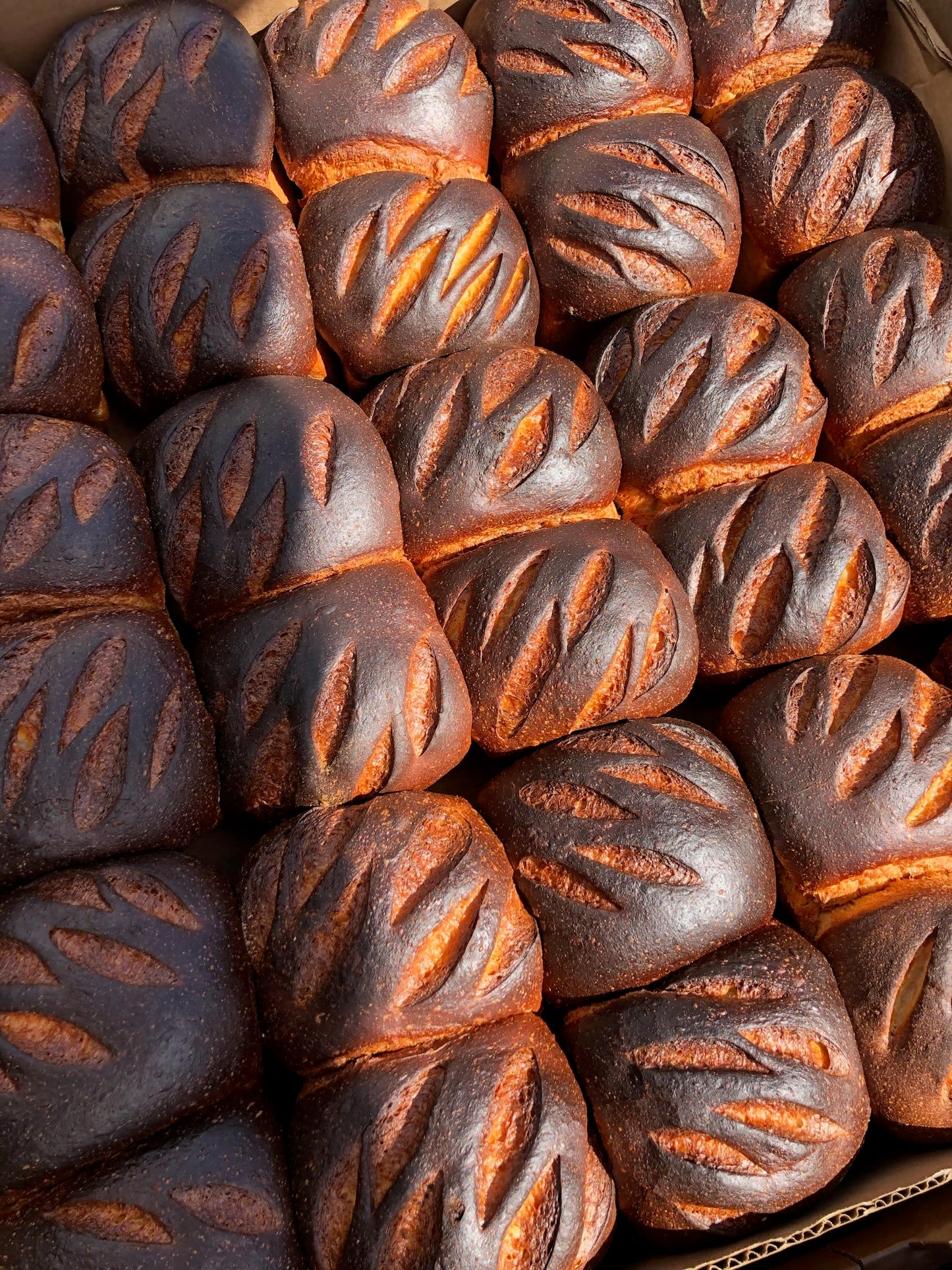 Milk Bread - A Whole Bakery of Treats!