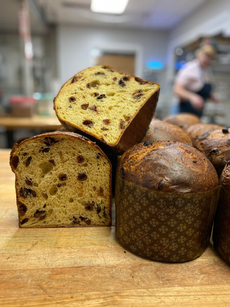 Chocolate Cherry Panettone